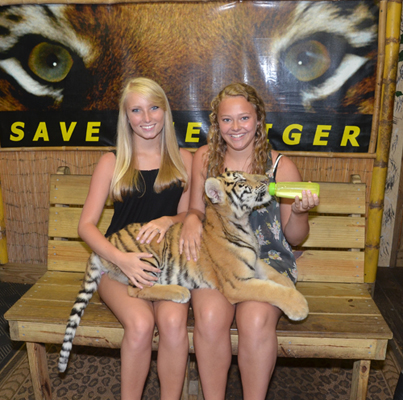 Two teens bottle feeding a young tiger