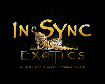 In-Sync Exotics logo