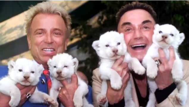 Siegfried and Roy holding 4 white tiger cubs