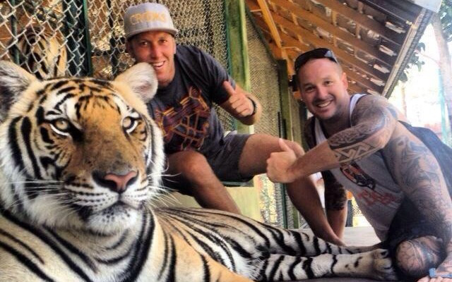 Two men giving a thumbs-up sign behind a tiger