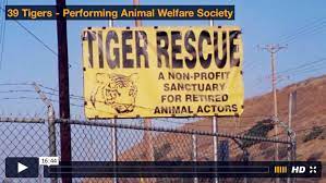 Video thumbnail with fence and sign for tiger sanctuary