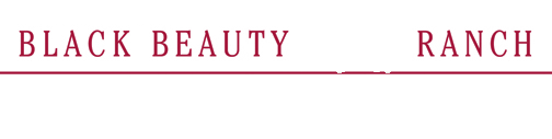 Black Beauty Ranch logo