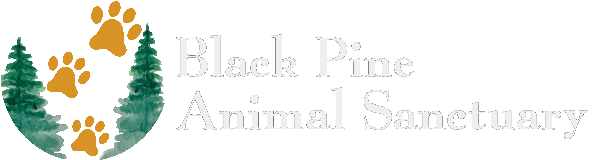 Black Pine Animal Sanctuary logo