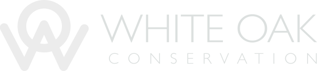 White Oak Conservation logo