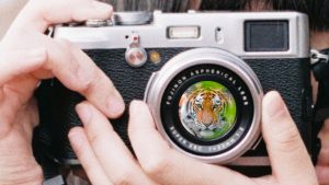 Camera with hands holding it and tiger face reflected in lens